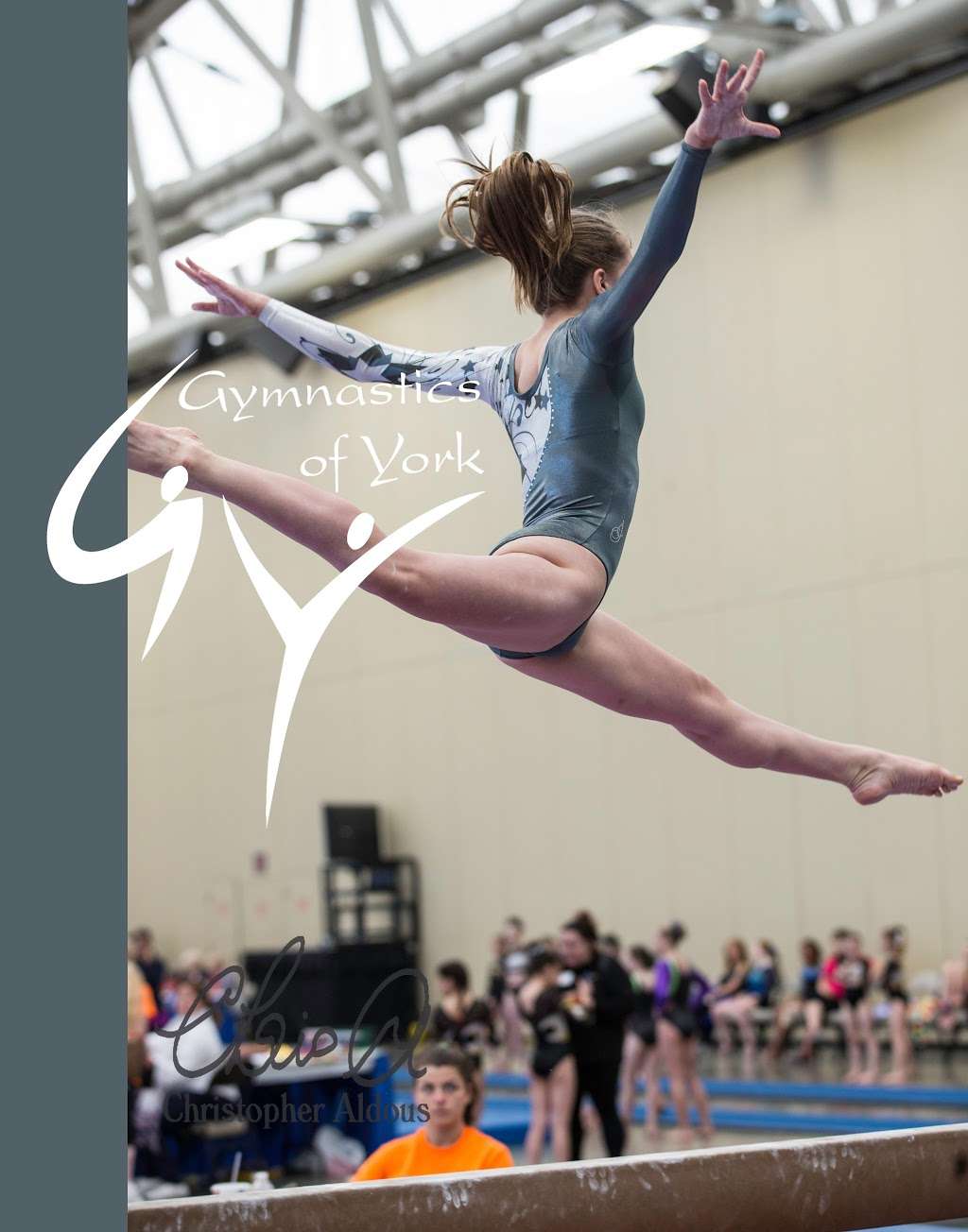 Gymnastics of York | 2615 Course Rd, York, PA 17402, USA | Phone: (717) 378-0101