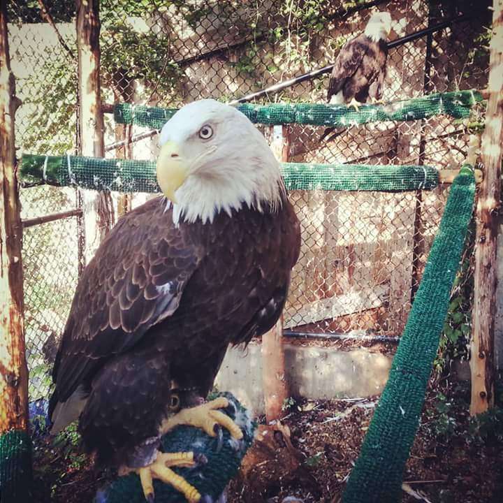 Prairie Park Nature Center | 2730 Harper St, Lawrence, KS 66046, USA | Phone: (785) 832-7980