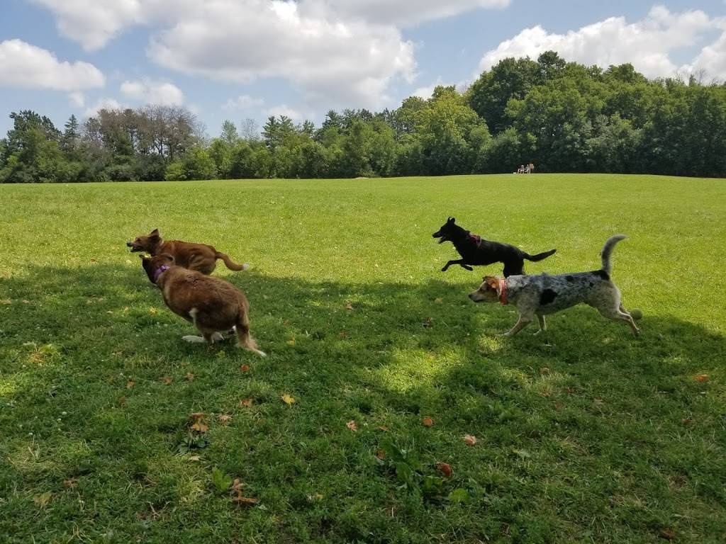 Currie Dog Park | 3535 N Mayfair Rd, Wauwatosa, WI 53222, USA | Phone: (414) 257-7275