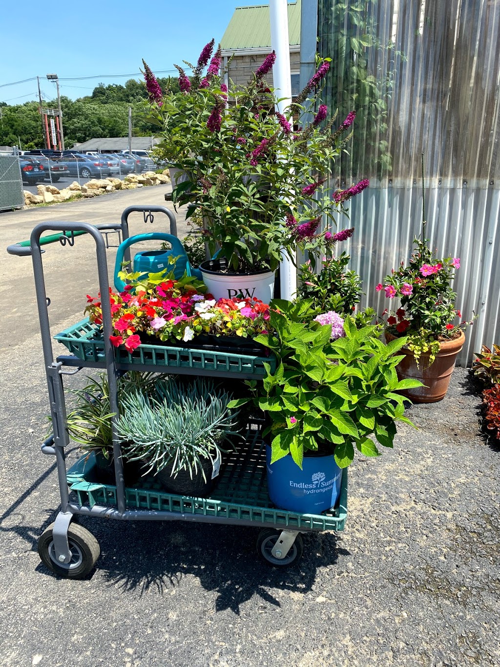 Stephenson Garden Center &amp; Nursery, 8136 Dixie Hwy