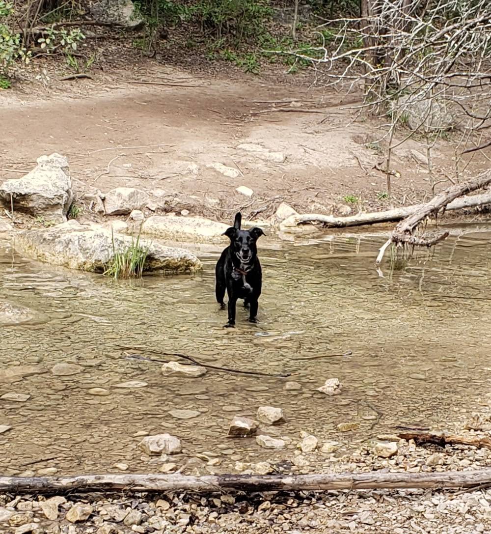 Emma Long Metropolitan Park | 1600 City Park Rd, Austin, TX 78730, USA | Phone: (512) 974-1831