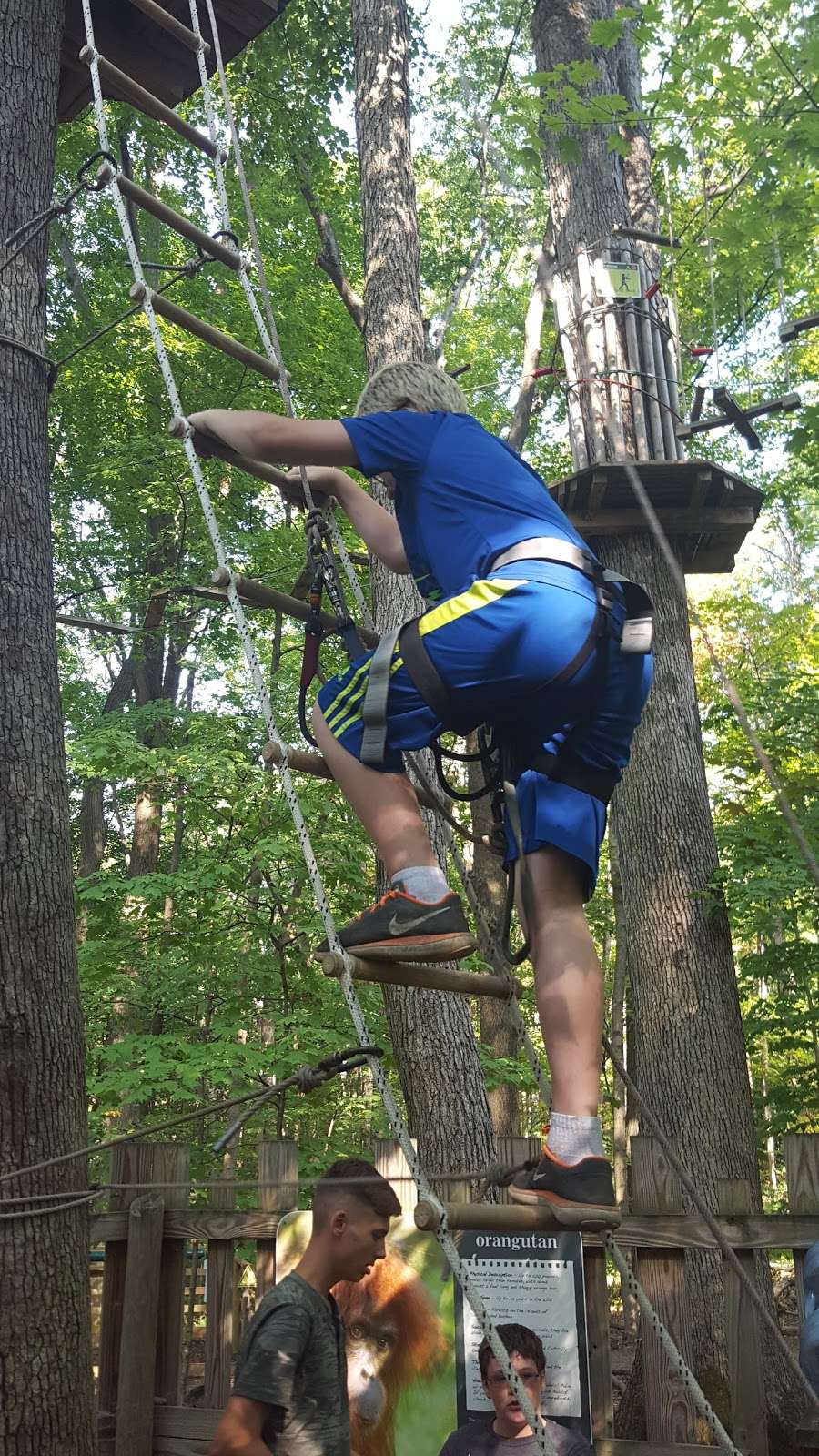 Go Ape | 5901 Delong Rd, Indianapolis, IN 46254 | Phone: (800) 971-8271