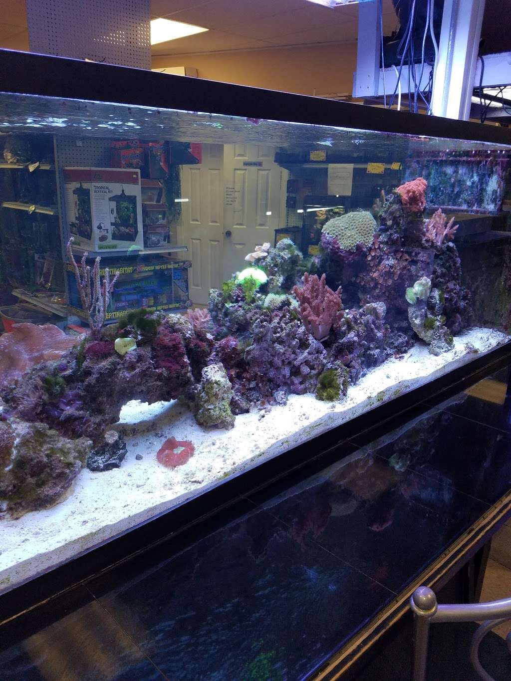 Nolan's Aquarium Superstore in 1725 E Memorial Blvd, Lakeland, FL 33801