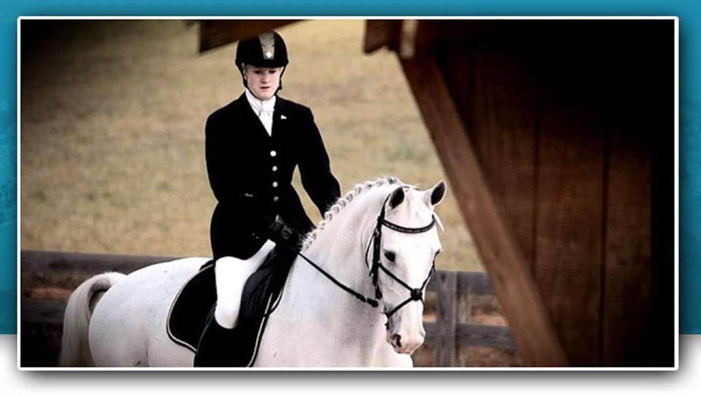 Equine Sport Solutions LLC | 1030 S 21st St, Colorado Springs, CO 80904, USA | Phone: (719) 235-6560