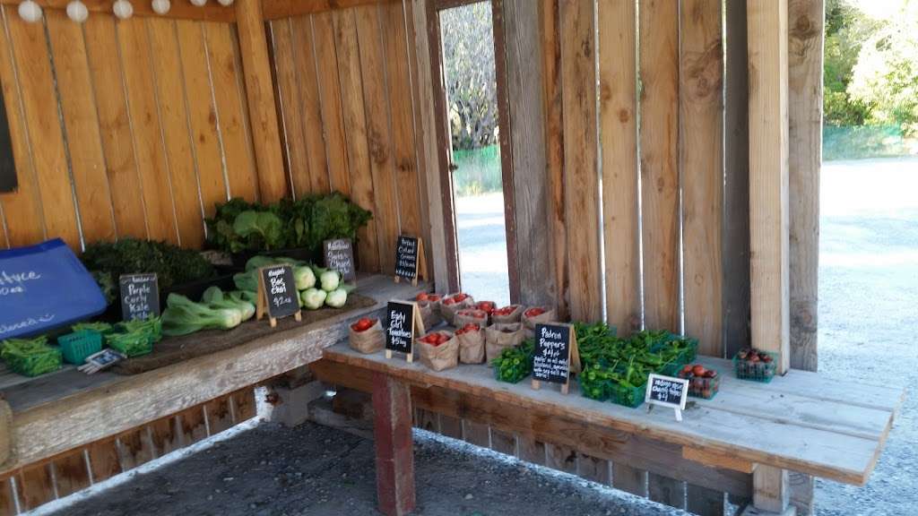 Little Wing Farm Stand | Point Reyes Station, CA 94956, USA