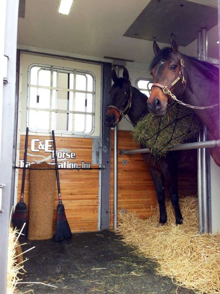 C & E Horse Transportation Inc | 8N034 IL-25, South Elgin, IL 60177, USA | Phone: (888) 265-3007