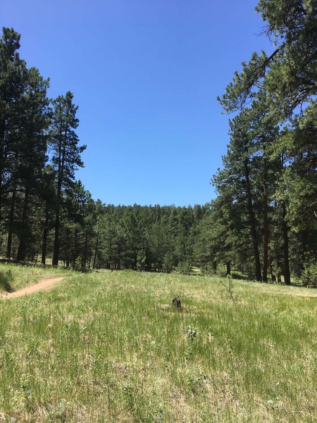 Meadows Group Campground | Colorado Trail, Pine, CO 80470, USA | Phone: (877) 444-6777