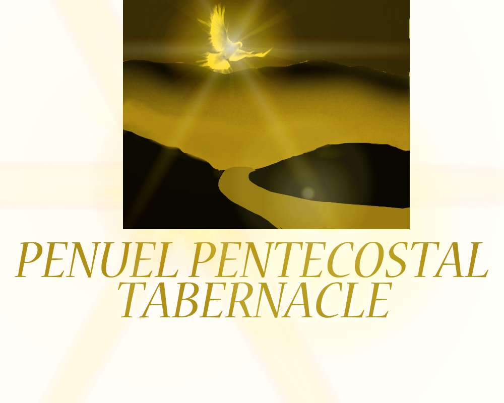 Penuel Pentecostal Tabernacle | 12 Winona Ave, Newburgh, NY 12550, USA | Phone: (845) 565-4118