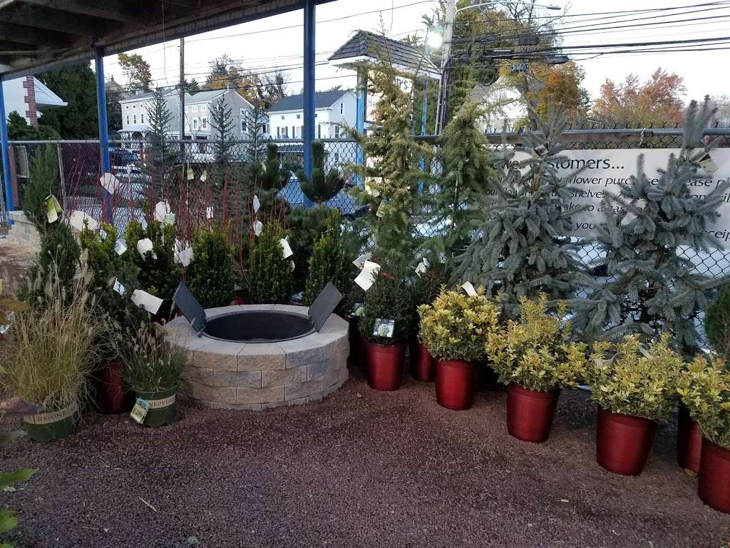 Holods Nursery & Landscape Supply | 700 Ridge Pike, Lafayette Hill, PA 19444, USA | Phone: (610) 828-4505