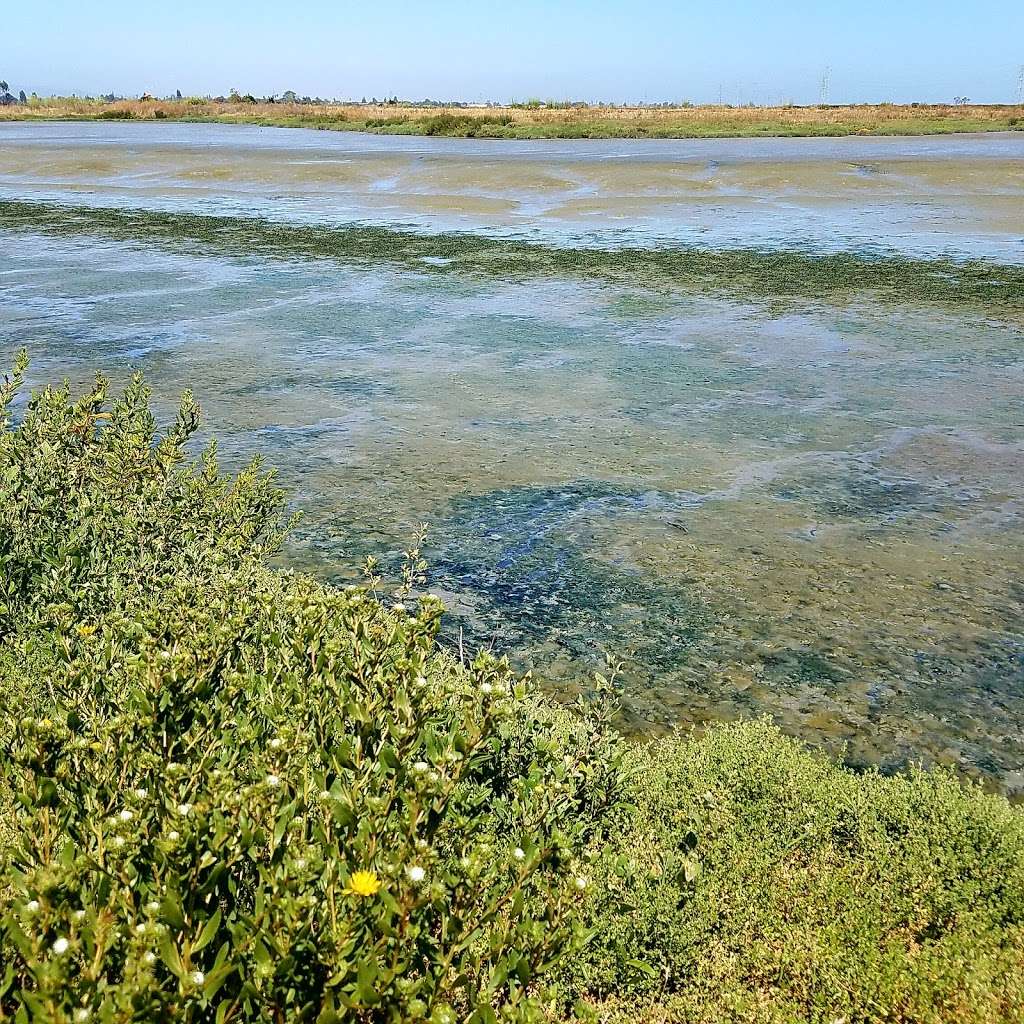 Baylands Nature Preserve Ranger Station | 2500 Embarcadero Rd, Palo Alto, CA 94303, USA | Phone: (650) 617-3156