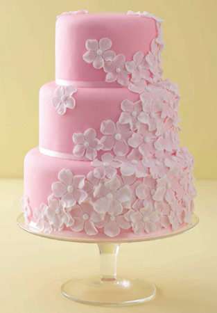 Cakes by Lea | 6560 Timberlane Rd, Lake Wales, FL 33898, USA | Phone: (863) 224-5179