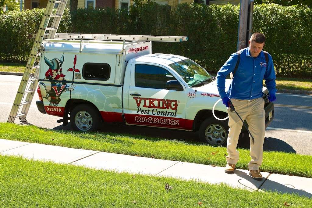 Viking Pest Control | 97 Mt Bethel Rd, Warren, NJ 07059, USA | Phone: (732) 560-1200