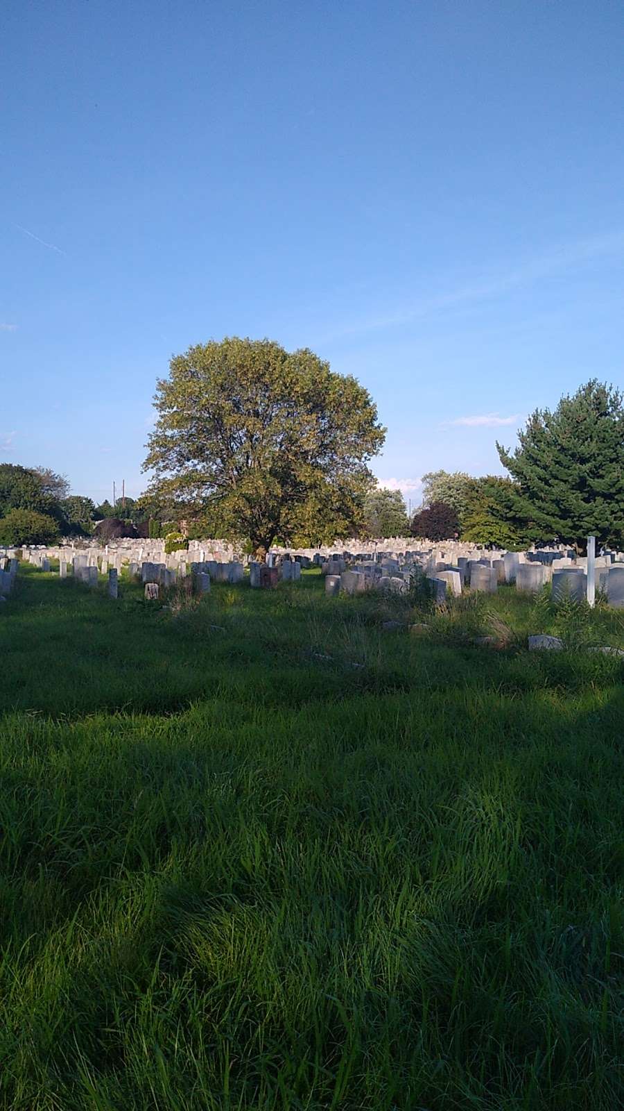 Har Jehuda Cemetery | 8400 Lansdowne Ave, Upper Darby, PA 19082, USA | Phone: (610) 789-2104