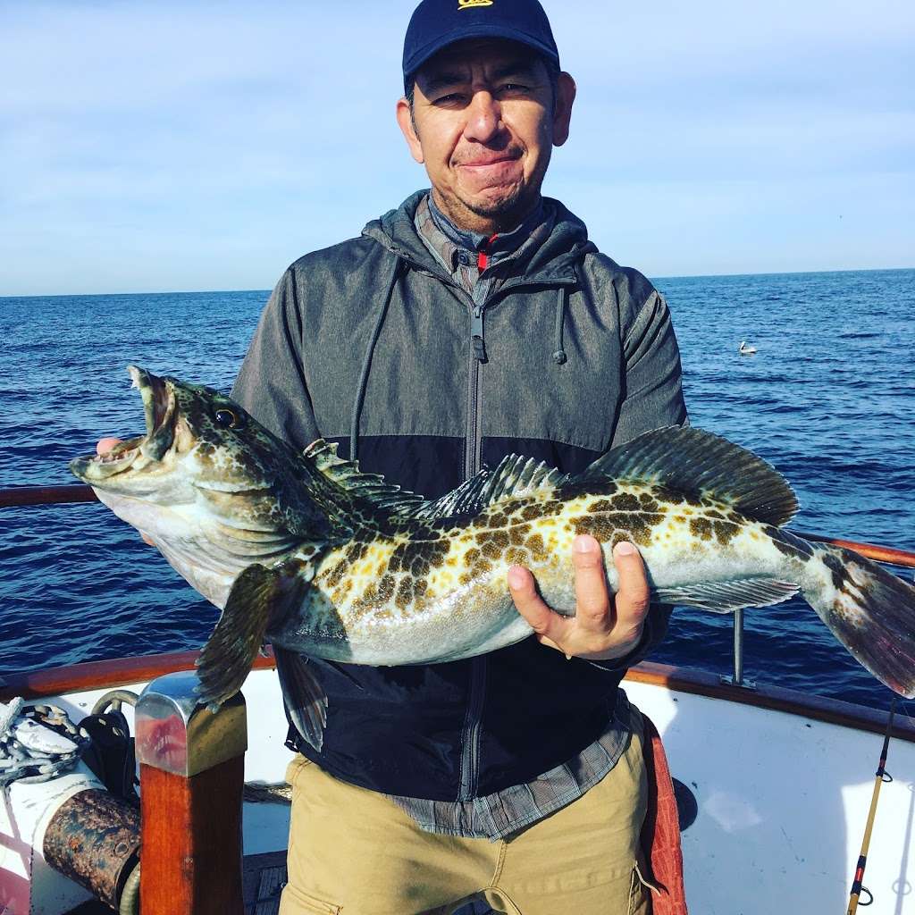 The Long Run Sportfishing | 955 Harbor Island Dr, San Diego, CA 92101, USA | Phone: (858) 336-6594