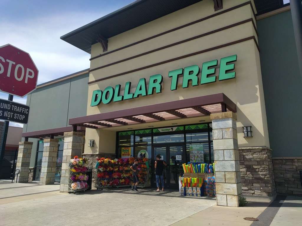 Dollar Tree | 2439 Prairie Center Pkwy, Brighton, CO 80601, USA | Phone: (303) 659-9808