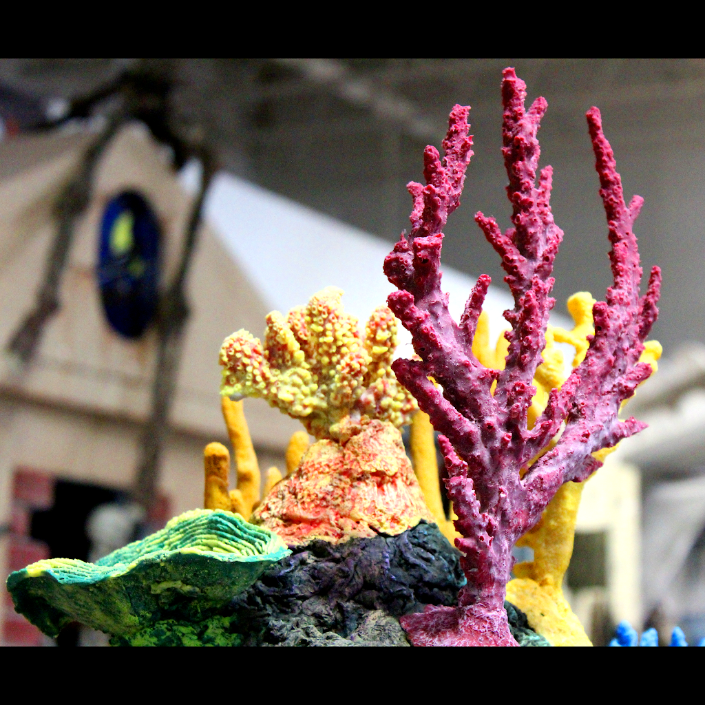 Custom Coral Creations | 6879 N Hollywood Blvd, Las Vegas, NV 89115