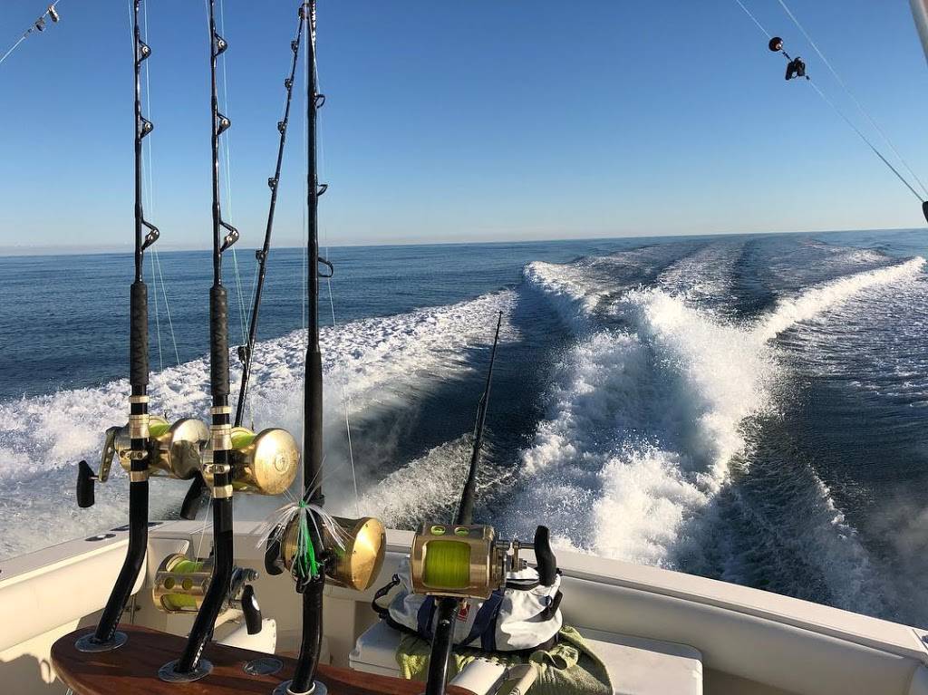 E-FishinSea Sport Fishing Charters Virginia Beach | 527 Winston Salem Ave, Virginia Beach, VA 23451 | Phone: (757) 985-6255