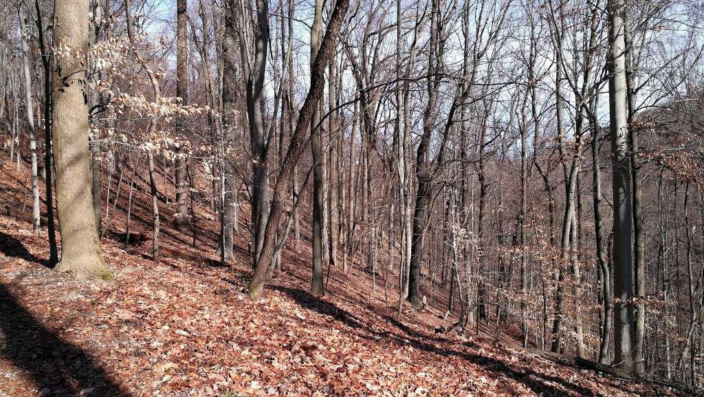 Mount Misery Trailhead | Wolfinger Trail, Phoenixville, PA 19460