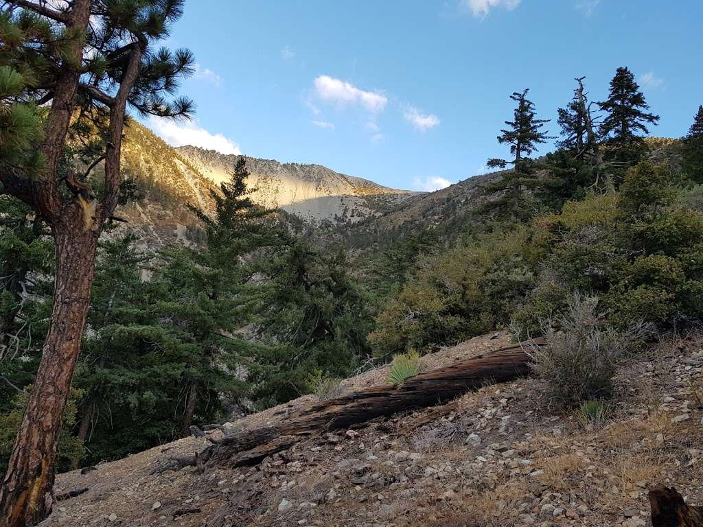 Baldy Bowl Trail start | Baldy Bowl Trail, Mt Baldy, CA 91759, USA