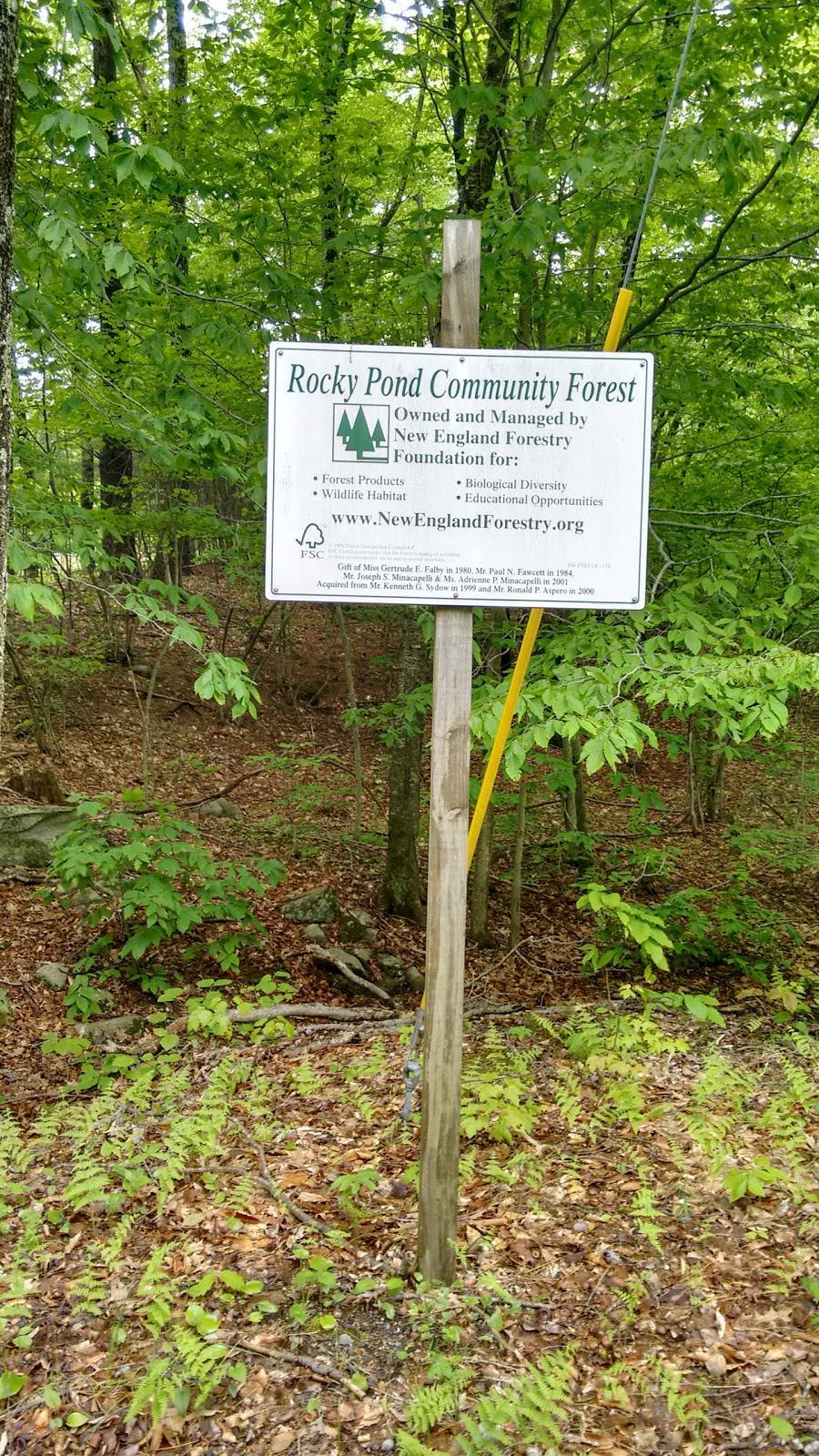 Rocky Pond Community Forest | Green St, Boylston, MA 01505, USA