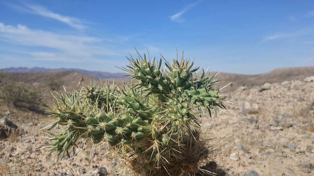 Callville Bay Park | Overton, NV 89040, USA