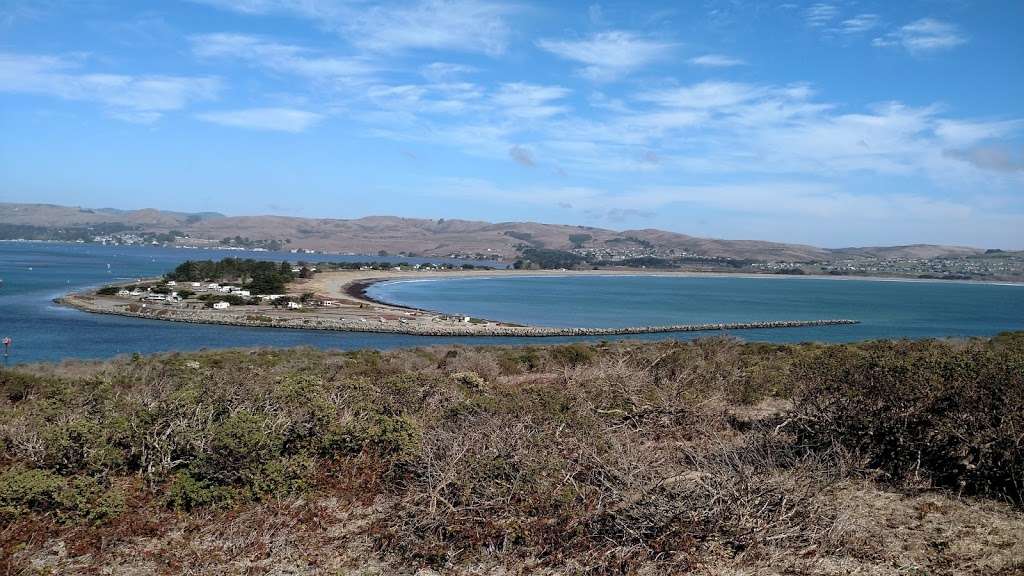 Westside Regional Park and Campground | 2400 Westshore Rd, Bodega Bay, CA 94923, USA | Phone: (707) 875-2640