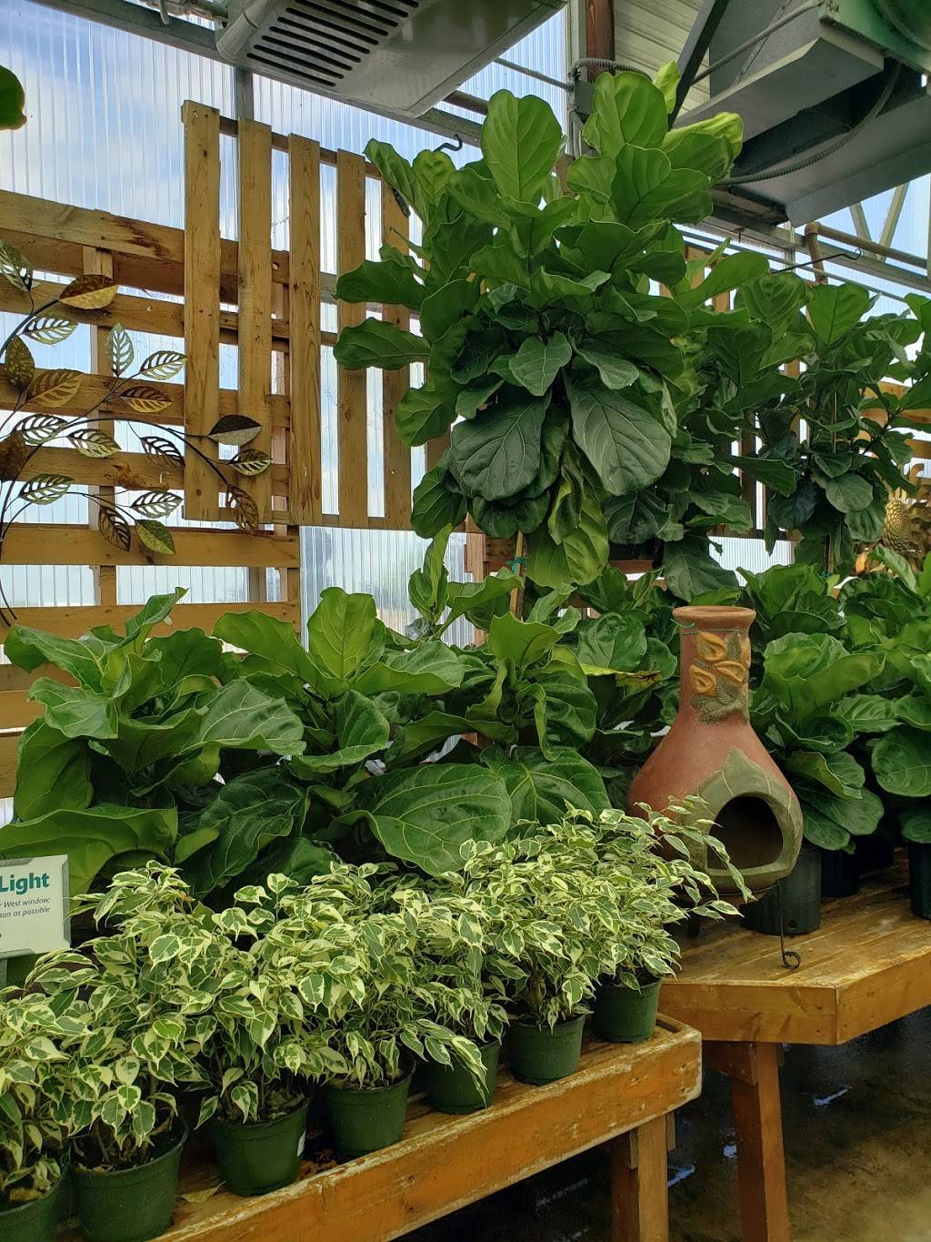 Johnsons Garden Center - East | 6225 E Shadybrook St, Wichita, KS 67208, USA | Phone: (316) 687-5451