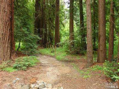 Dougherty Ranch Horse Boarding, Lessons & Training | 700 Nicasio Valley Rd, Nicasio, CA 94946 | Phone: (415) 662-2031