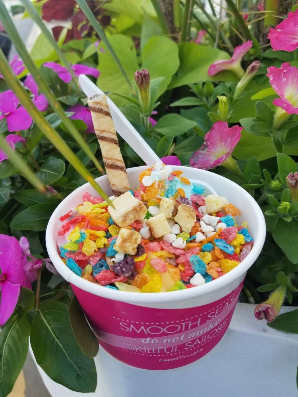 sweetFrog | 20940 Frederick Rd C, Germantown, MD 20876, USA | Phone: (301) 528-0789