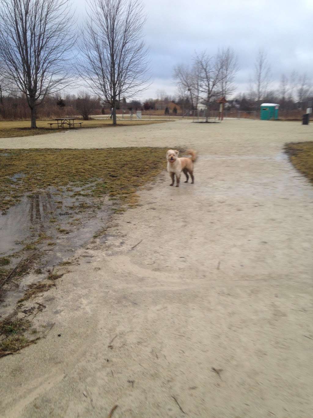 Dog park - park  | Photo 4 of 10 | Address: 29W128 83rd St, Naperville, IL 60564, USA
