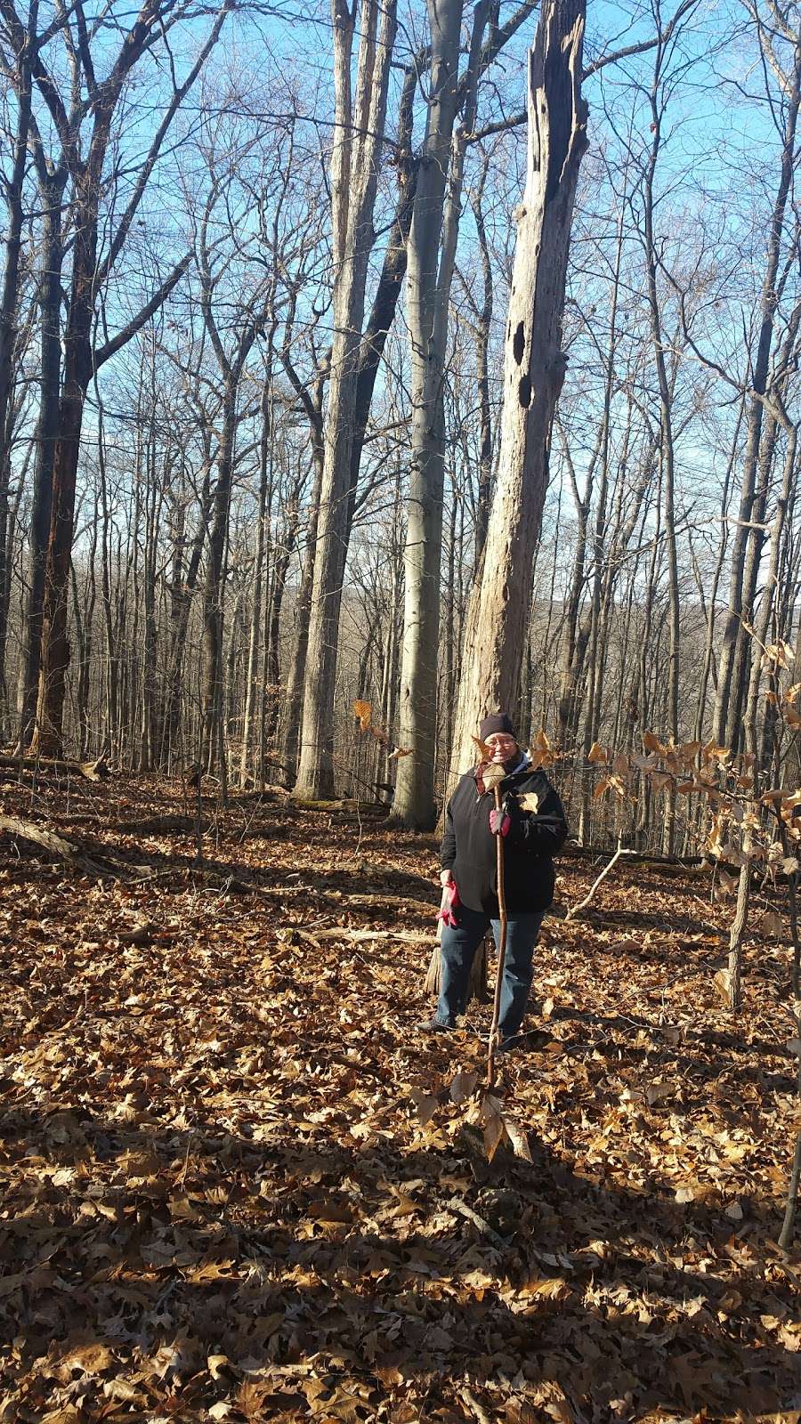 Trevlac Bluffs Nature Preserve | IN-45, Nashville, IN 47448, USA | Phone: (812) 336-5382