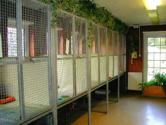 Ifield Park Cattery & Kennels | Bonnetts Lane, Ifield, Crawley RH11 0NY, UK | Phone: 01293 511832