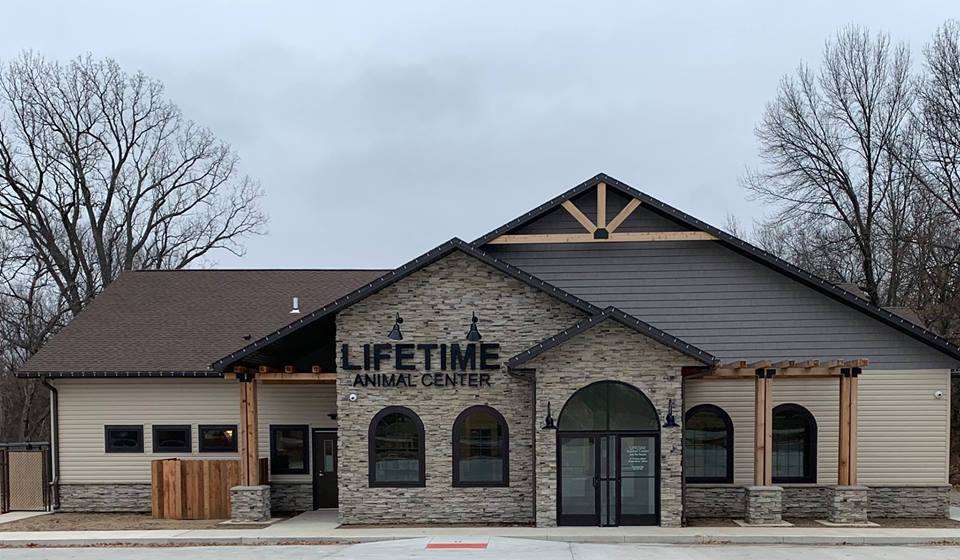 Lifetime Animal Center | 227 SE State Route 13, Warrensburg, MO 64093, USA | Phone: (660) 422-7838