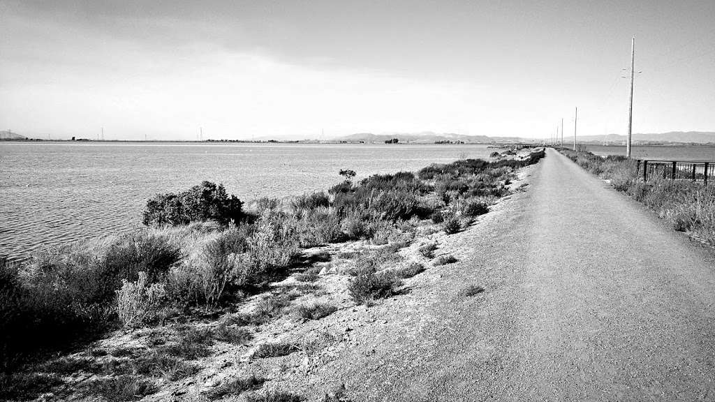 San Pablo Bay National Wildlife Refuge | Sonoma, CA 95476