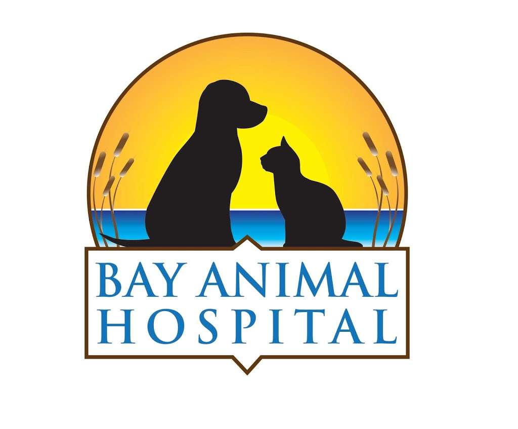 Bay Animal Hospital | 3891 Dupont Pkwy, Townsend, DE 19734, USA | Phone: (302) 279-1082