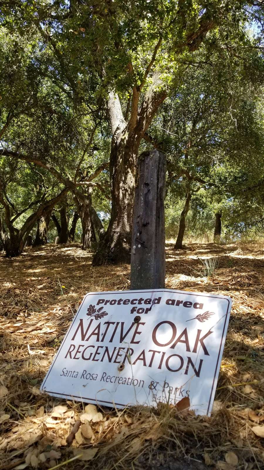 Santa Rosa Rural Cemetery | Santa Rosa, CA 95404, USA