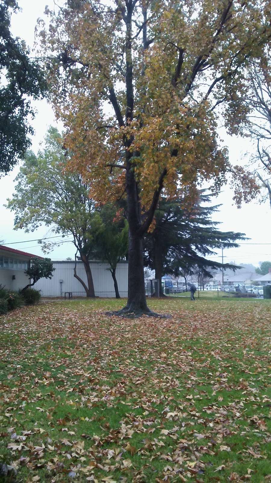 Floresta Park | San Leandro, CA 94578, USA