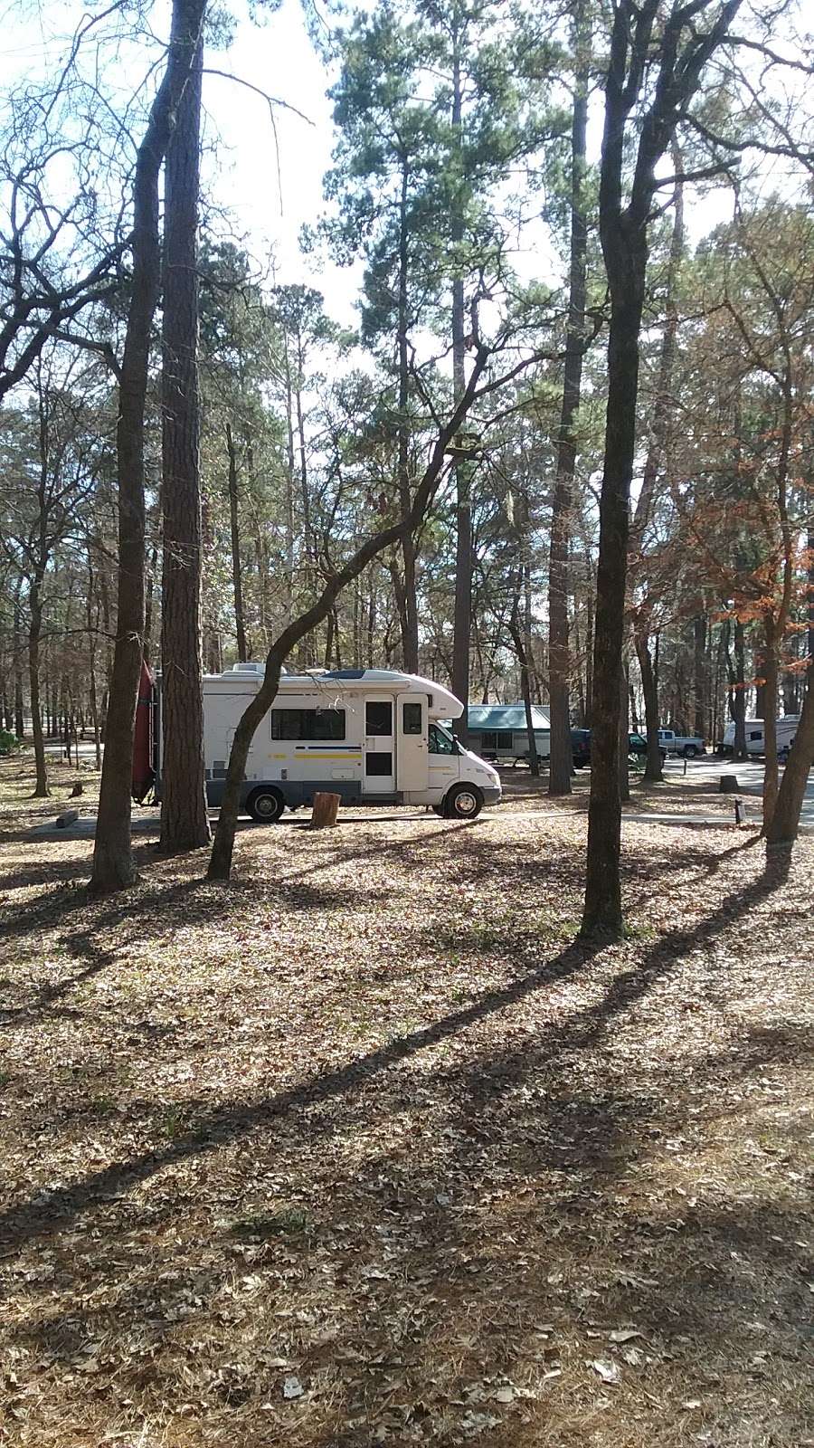 Cagle Recreation Area | FM 1375 West, New Waverly, TX 77358, USA | Phone: (936) 344-6205