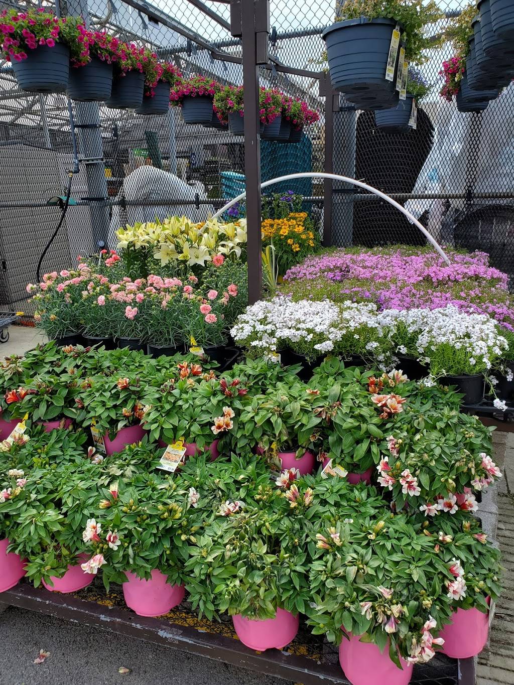 Lowes Garden Center | 5775 Baptist Rd, Bethel Park, PA 15102, USA | Phone: (412) 212-2000