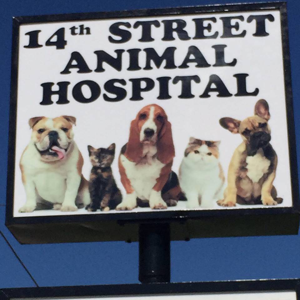 14th Street Animal Hospital | 1513 14th St A, Plano, TX 75074, USA | Phone: (469) 467-8454