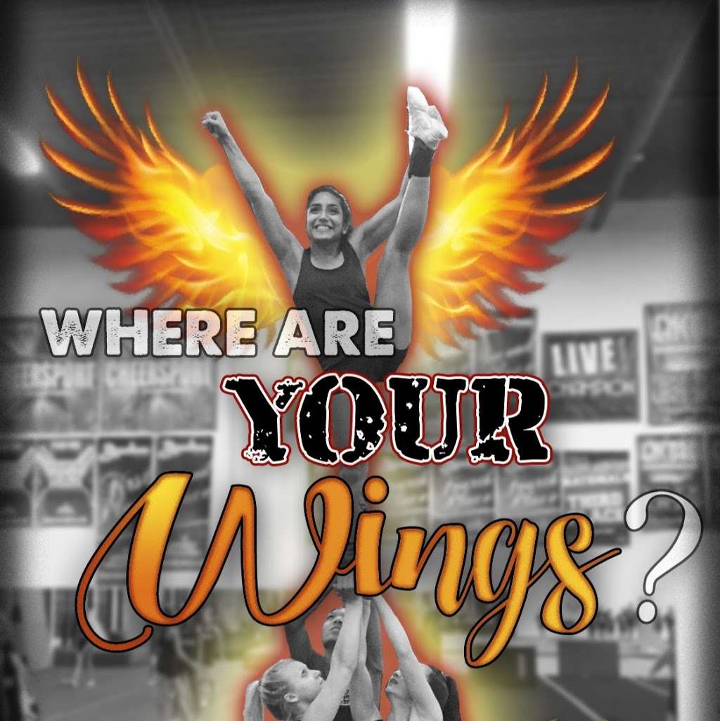 Phoenix Elite Cheer | 14807 L Willard Rd, Chantilly, VA 20151, USA | Phone: (703) 956-6272