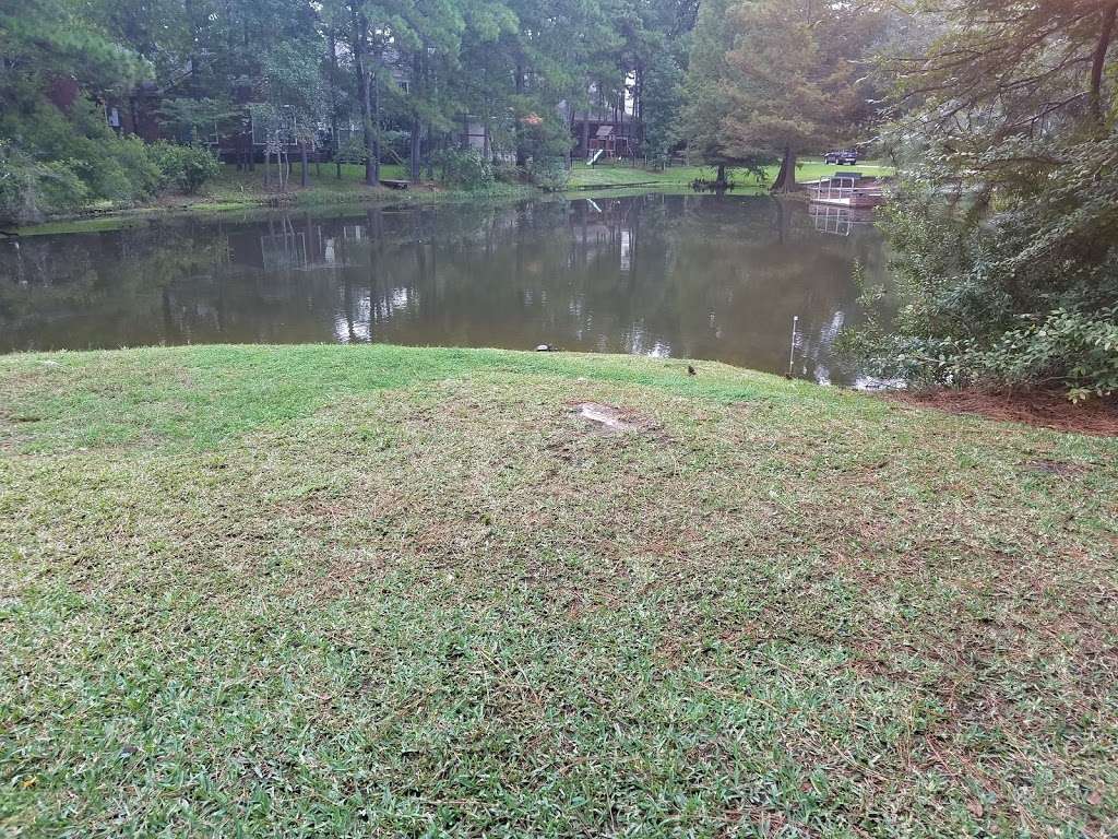 Hidden view pond park | 61 S Hidden View Cir #57, The Woodlands, TX 77381, USA