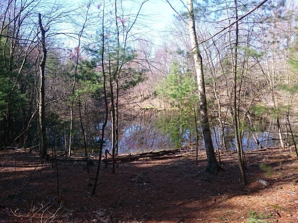 Pratts Brook Conservation Area | 108R Parker St, Acton, MA 01720, USA | Phone: (978) 929-6634