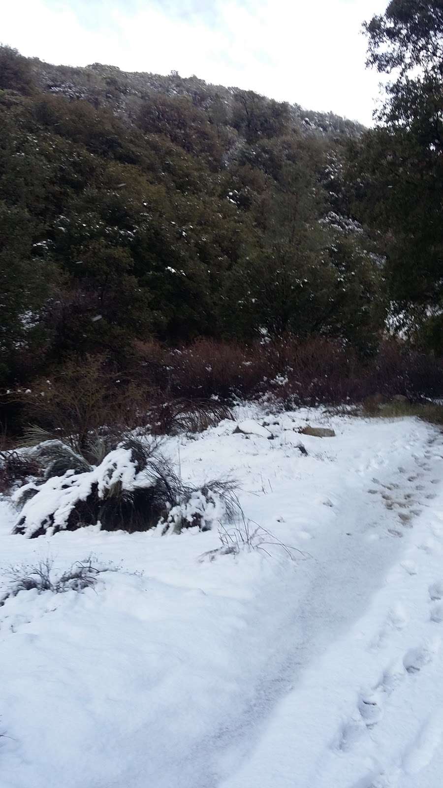 Lower Shake Trailhead | Lake Hughes, CA 93532, USA