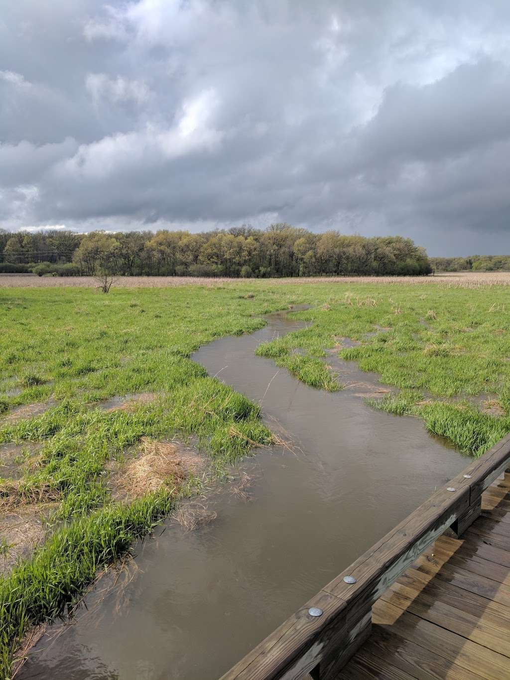 Cuba Marsh Forest Preserve | 24205 W Cuba Rd, Deer Park, IL 60010, USA | Phone: (847) 367-6640