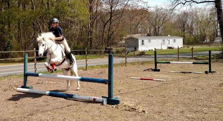 Field Of Dreams Farm | 4941 Maiden Forest Rd, Rhodesdale, MD 21659, USA | Phone: (443) 515-2122