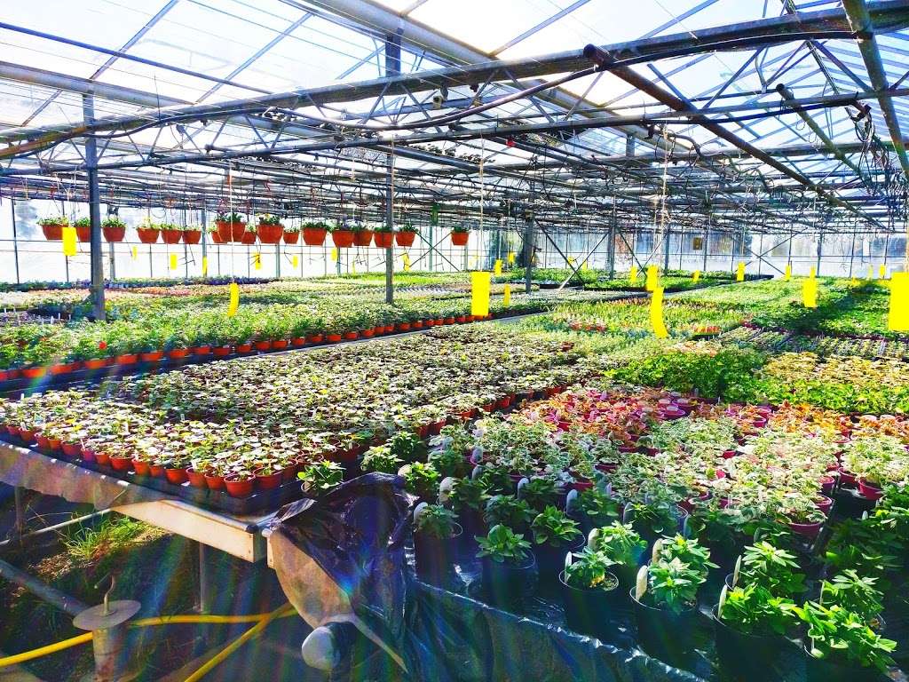 St John of God Horticultural Training Centre | B197, Old Great North Road, Welwyn Garden City AL8 7SR, UK | Phone: 01707 334076