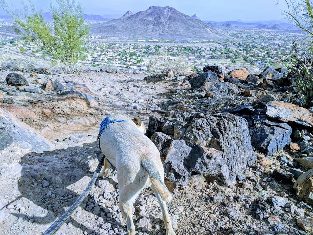 Thunderbird conservation Park | Cholla Loop, Glendale, AZ 85310, USA