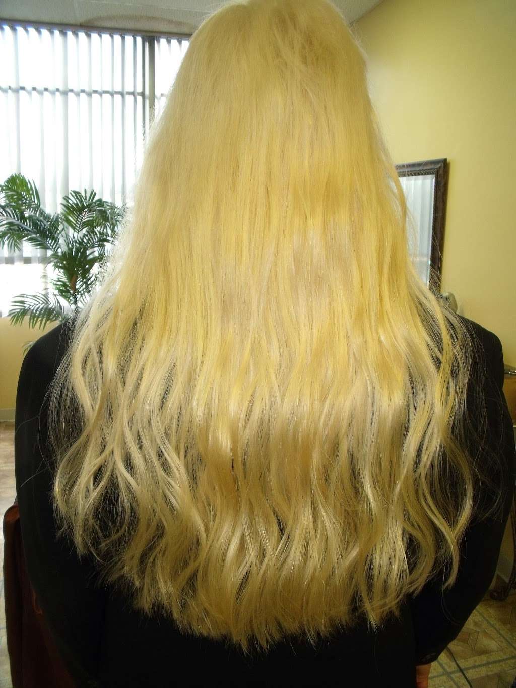 Moviestar Hair Concepts | 295 W Jericho Turnpike #23, Huntington Station, NY 11746, USA | Phone: (631) 425-0613