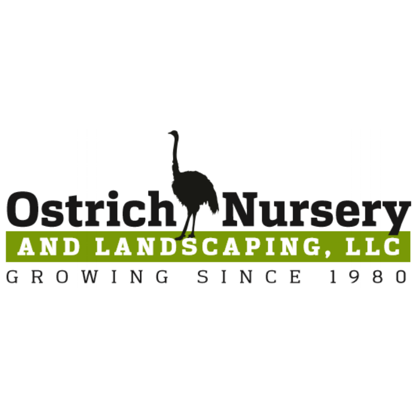 Ostrich Nursery | 170 Pond Rd, Robbinsville, NJ 08691, USA | Phone: (609) 426-9114
